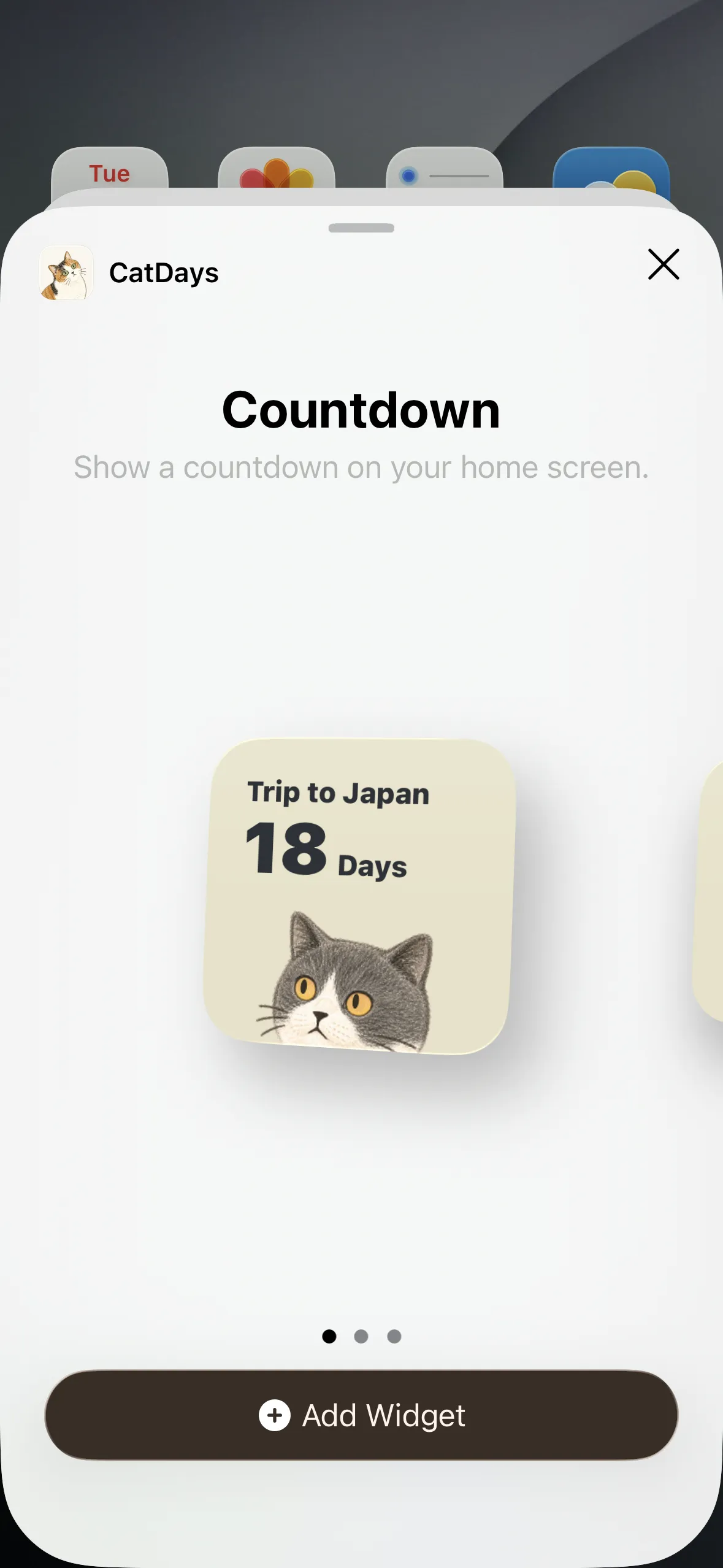 Choose a widget size and add it