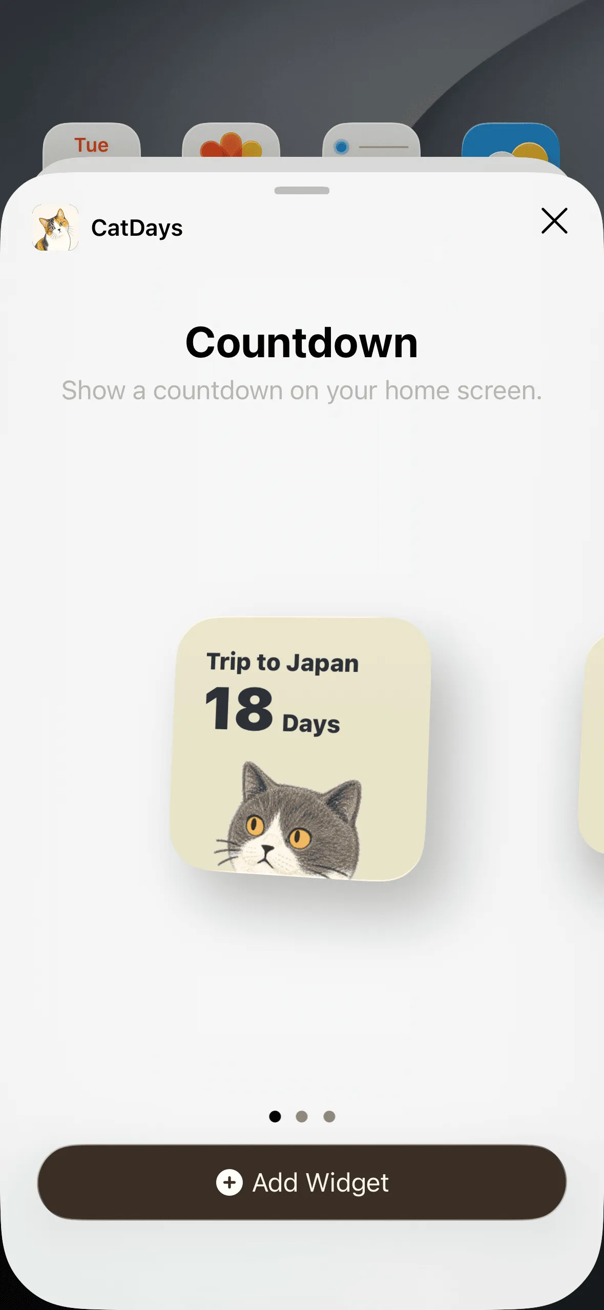 Choose a widget size and add it