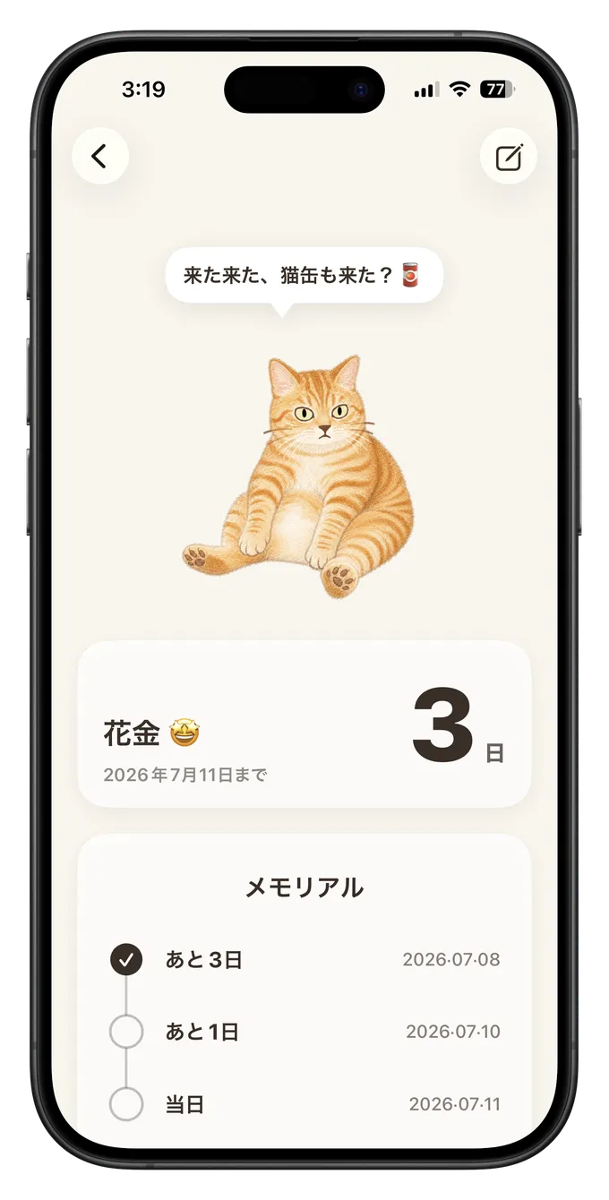 5匹の猫、
5つの性格。