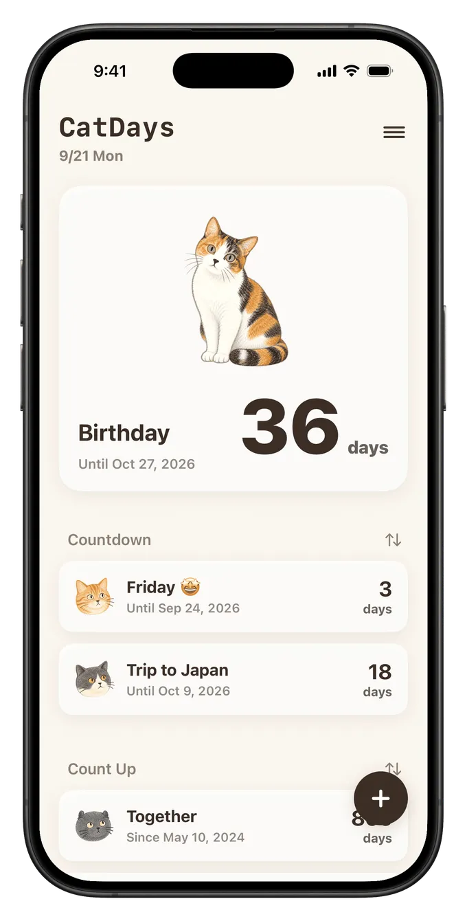 A cat to count down the days that matter