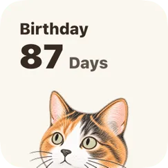 Small Home Screen widget showing a single countdown