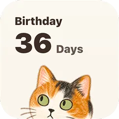 Small Home Screen widget showing a single countdown